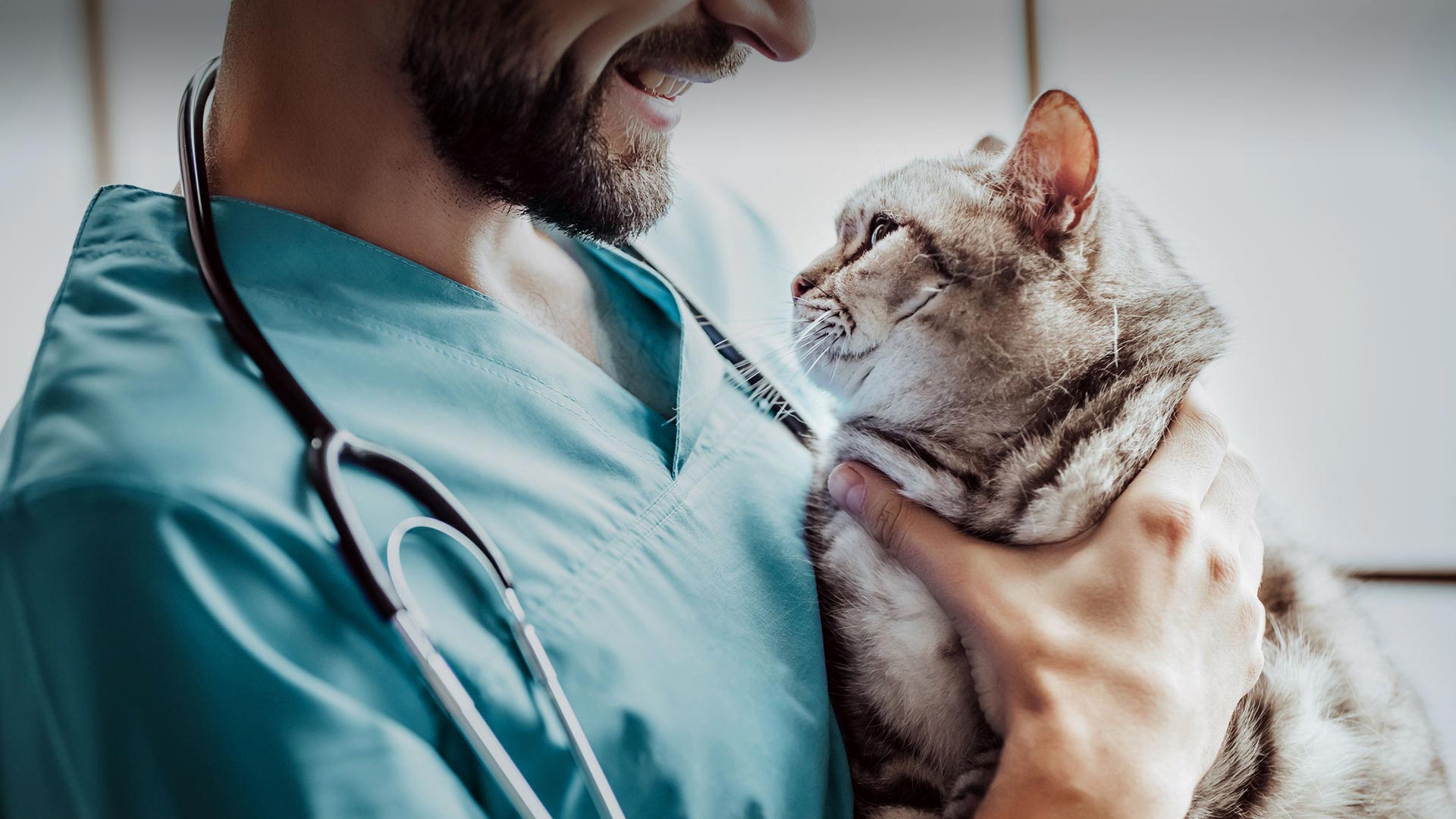 Aydıncık Veteriner